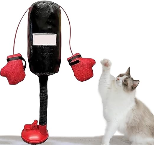 KEDİ BOKS TORBASI