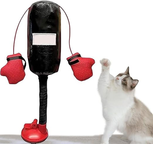 KEDİ BOKS TORBASI