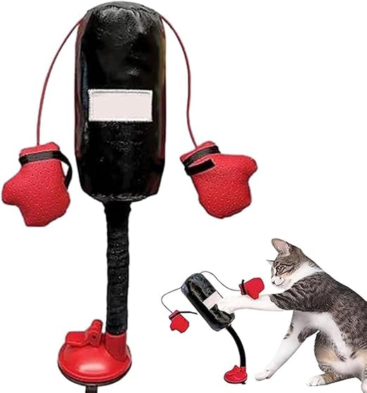KEDİ BOKS TORBASI