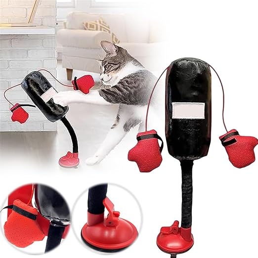 KEDİ BOKS TORBASI