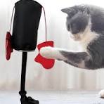 KEDİ BOKS TORBASI