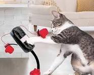 KEDİ BOKS TORBASI