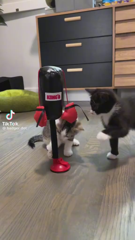 KEDİ BOKS TORBASI